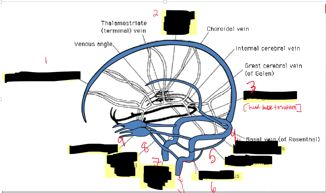 <p>Name the structure.</p>