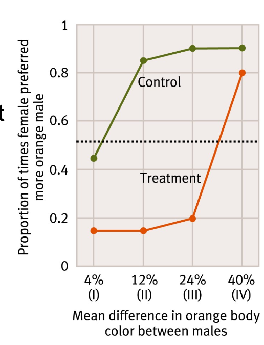 <p>-Methods: Observer females were exposed to two males with female demonstrator placed next to the less orange male </p><p>-Results: When the differences between the males was less extreme, the observer female preferred the male the demonstrator female had chosen</p>