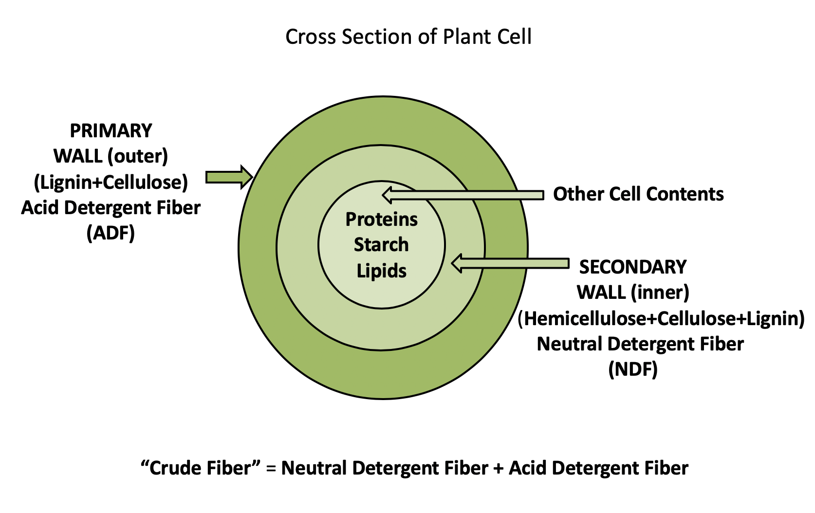 <p>Neutral Detergent Fiber: A measure of fiber representing the total cell wall. (Hemicellulose, cellulose, and lignin). Higher NDF can be difficult to digest</p>