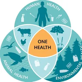 <p>protect our health</p>