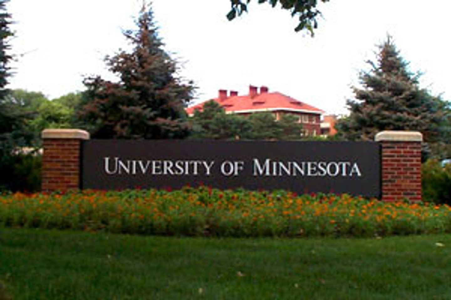 <p>University</p>