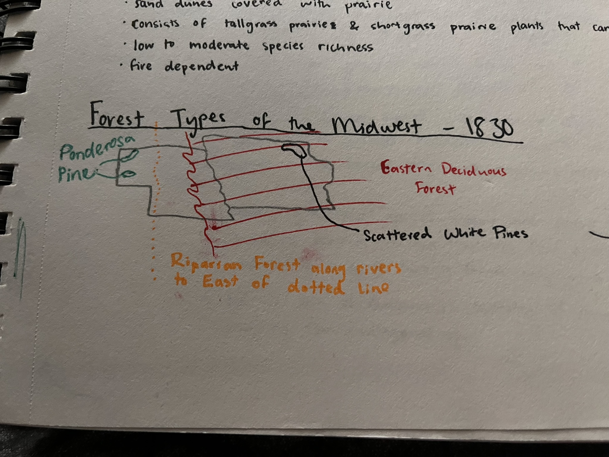 knowt flashcard image