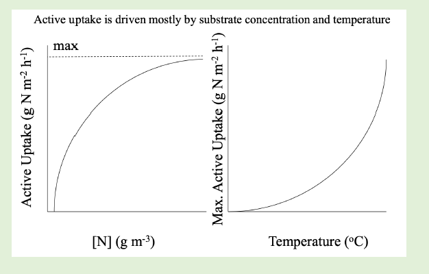 <p>substrate concentration and temperature </p>