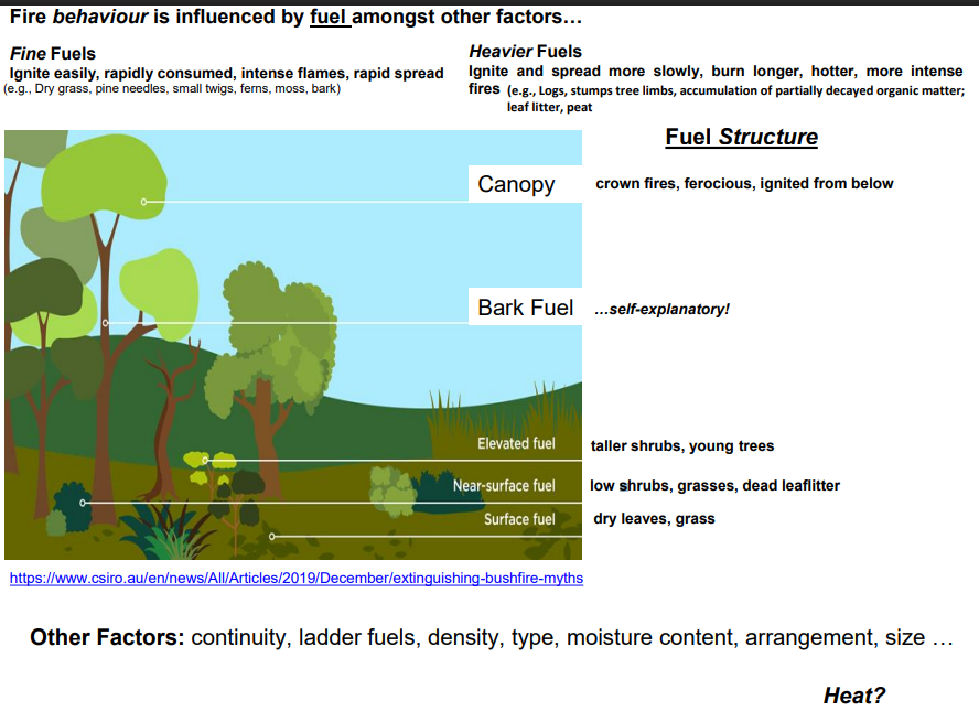 <ul><li><p><strong>Basic anatomy</strong>: head, flanks, tail/origin, with spread influenced by wind.</p></li><li><p><strong>Spot fires</strong>: embers can ignite new fires kilometres ahead.</p></li><li><p><strong>Fuel types</strong>:</p><ul><li><p><em>Fine fuels</em>: dry grass, pine needles, twigs → ignite easily, spread fast.</p></li><li><p><em>Heavy fuels</em>: logs, stumps, accumulated organic matter → burn slower, longer, more intensely.</p></li></ul></li><li><p><strong>Fuel structure</strong>: surface fuels (leaves, grass), near-surface (shrubs), elevated fuels (young trees), canopy (crown fires).</p></li><li><p><strong>Factors affecting fire</strong>: fuel continuity, ladder fuels, density, type, moisture content</p></li></ul><p></p>