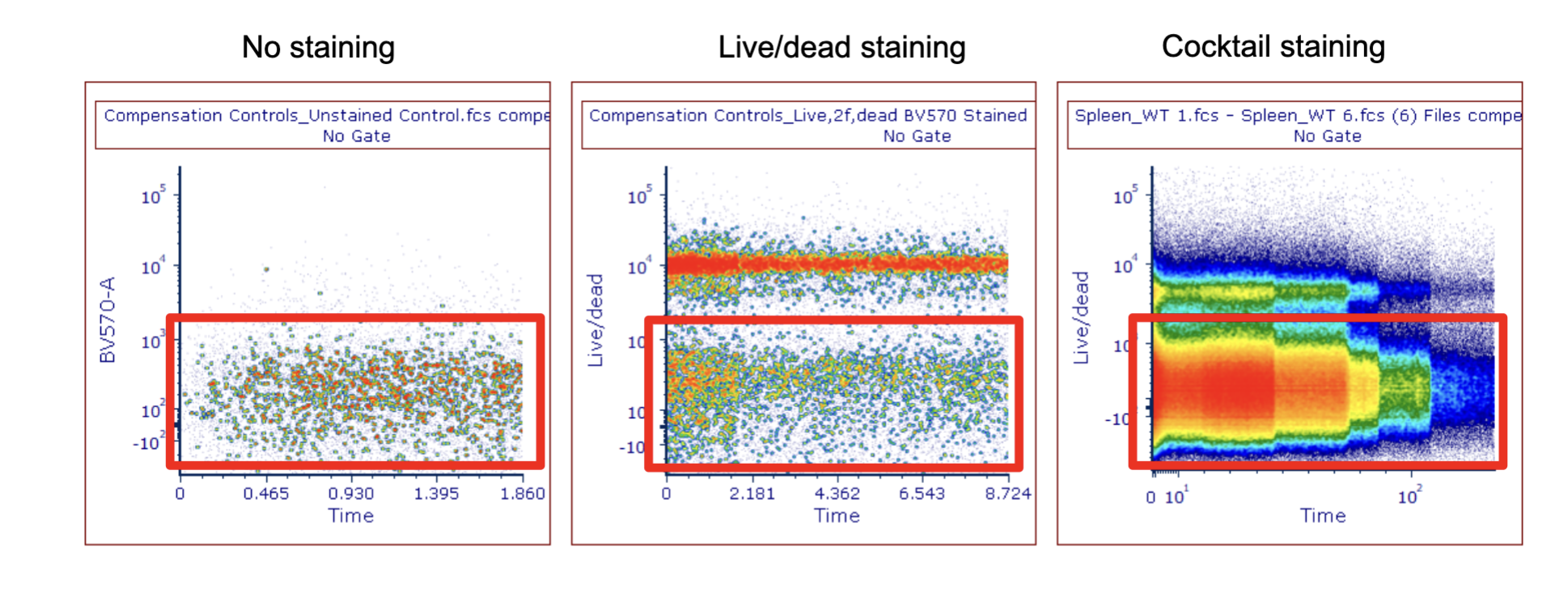 <p><span><span>Distinguish live/dead cells using positive and negative controls</span></span></p><p></p><p>remove dead cells from analysis (tend to be sticky and non-specifically stick to antibody)</p><p>understand where the gait to look at</p><p>no staining: what the background signal are</p><p>top middle: cells w/ high fluorescent intensity= dead</p><p>remove the dead cells and focus on the live cells</p>