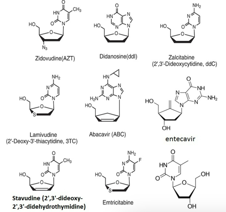 <p>into viral dna=chain termination</p>