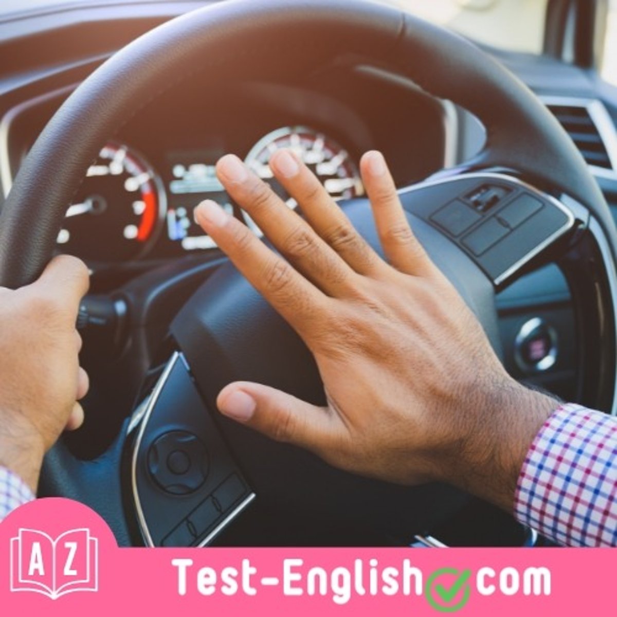 <p>The impatient driver _____ed at the pedestrians who were crossing slowly.</p>