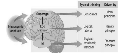 knowt flashcard image
