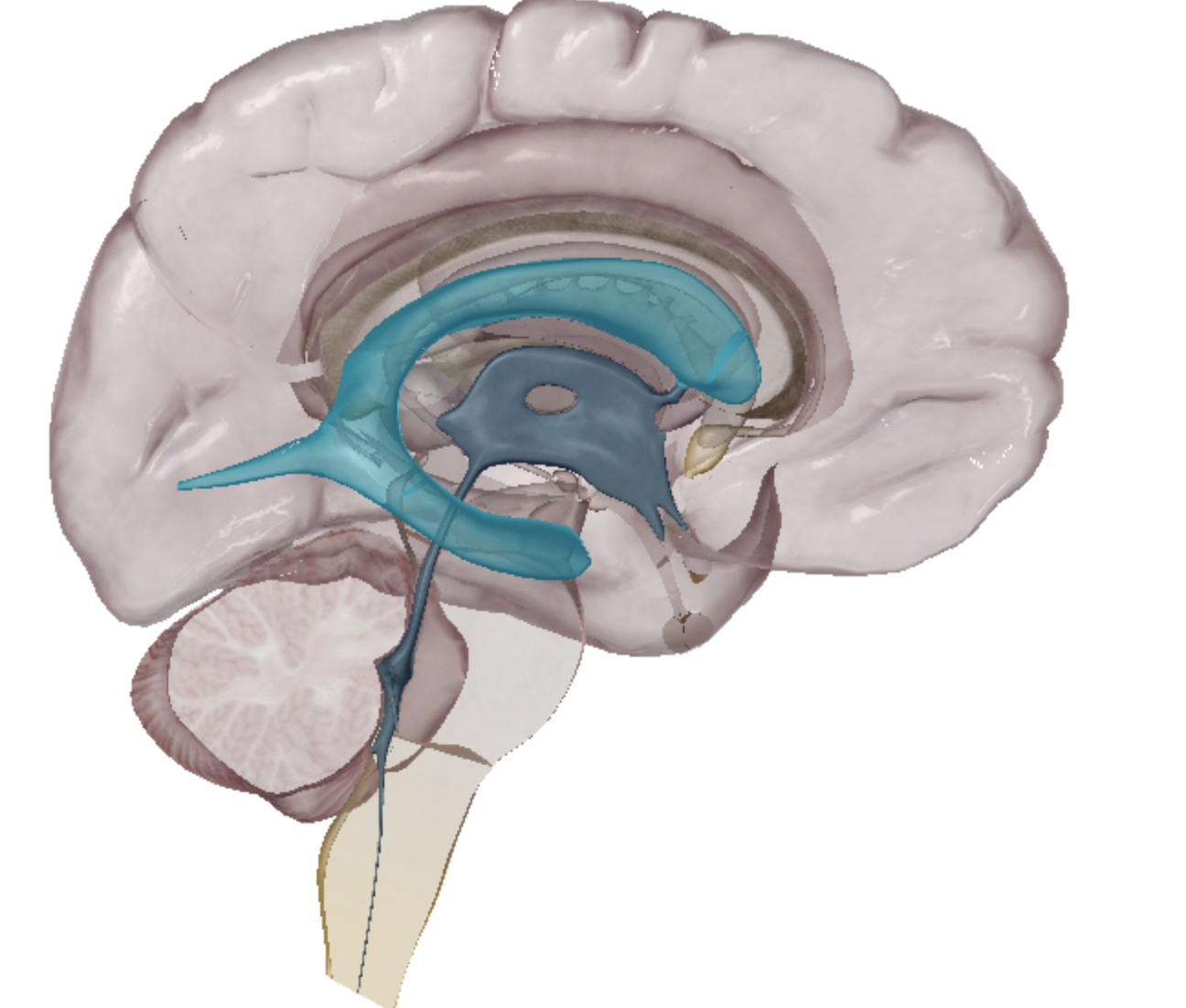 <p>what is highlighted </p>