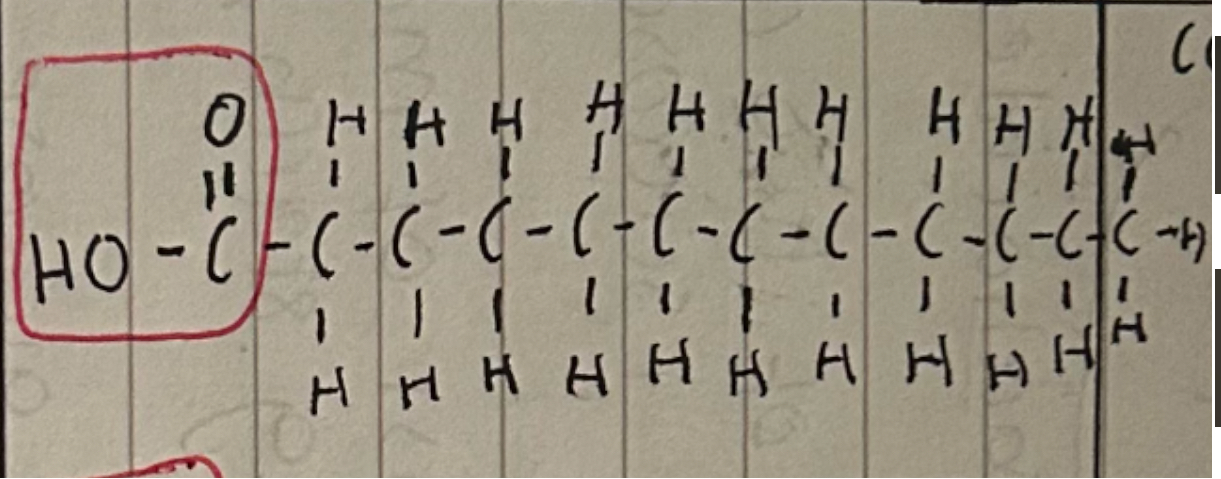 <p>Carboxyl </p><p>No double bond cause saturated with hydrogen</p>