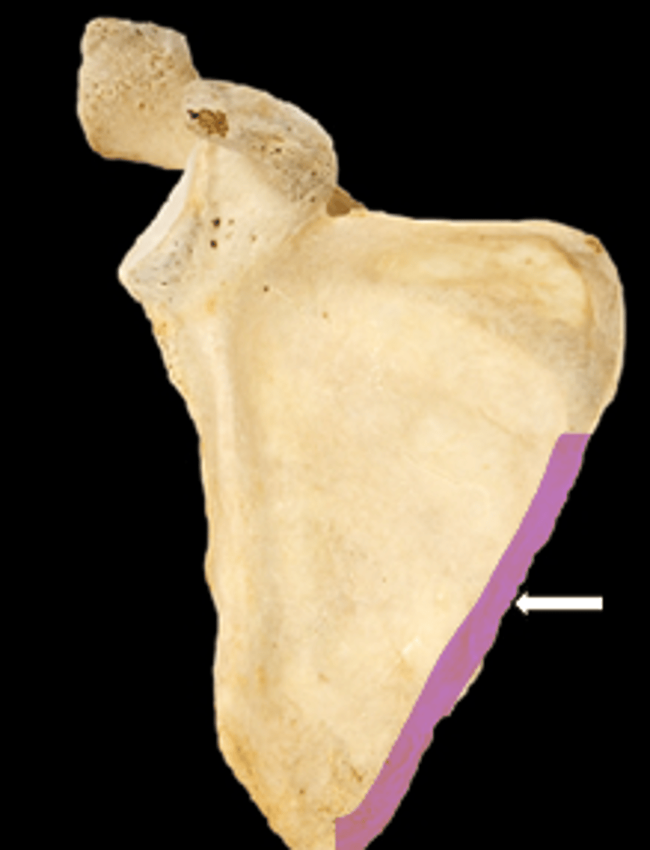 <p>name the part</p>