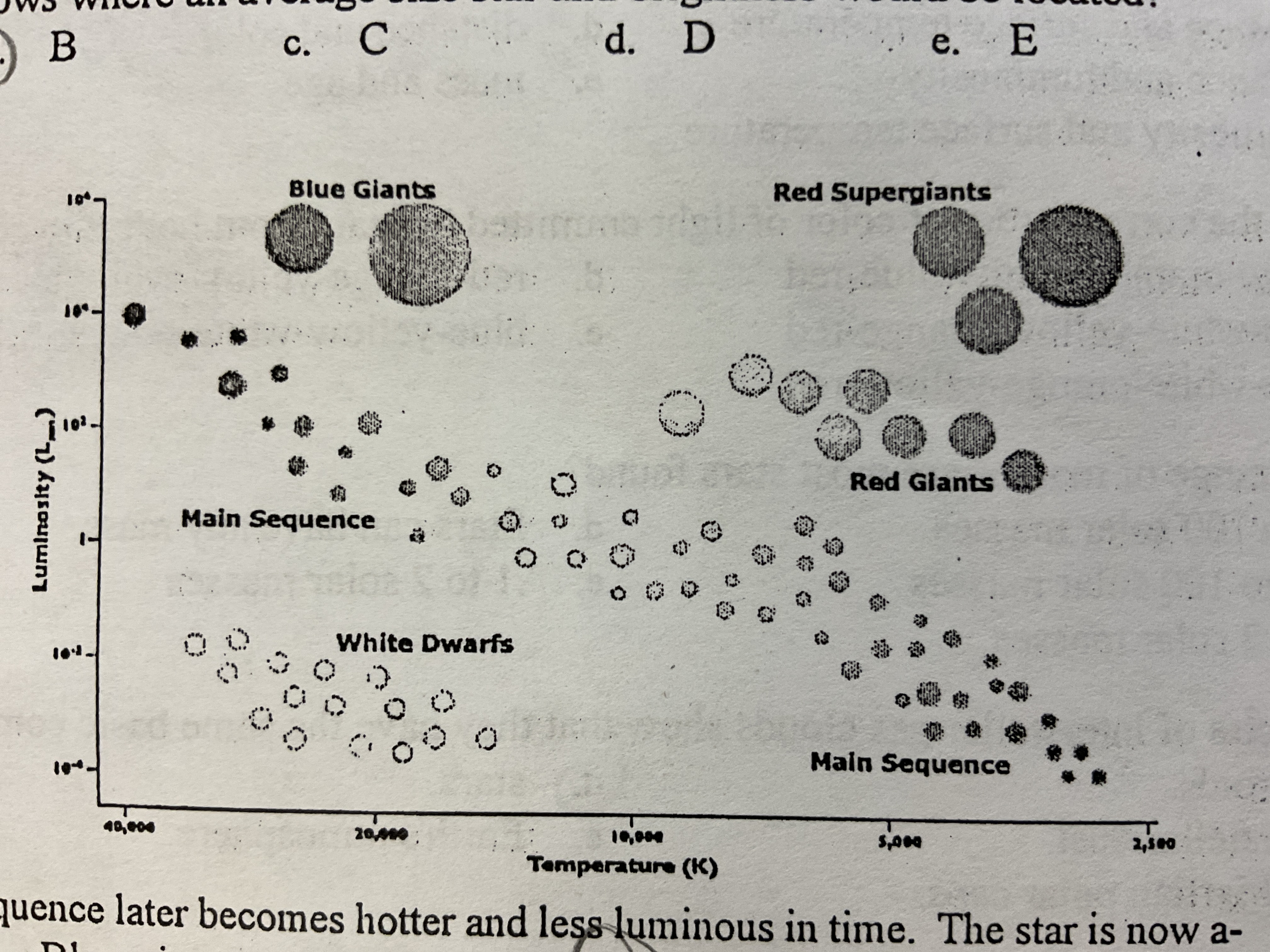 <p>A star in the main sequence later becomes hotter and less luminous in time. The star is now a-</p>