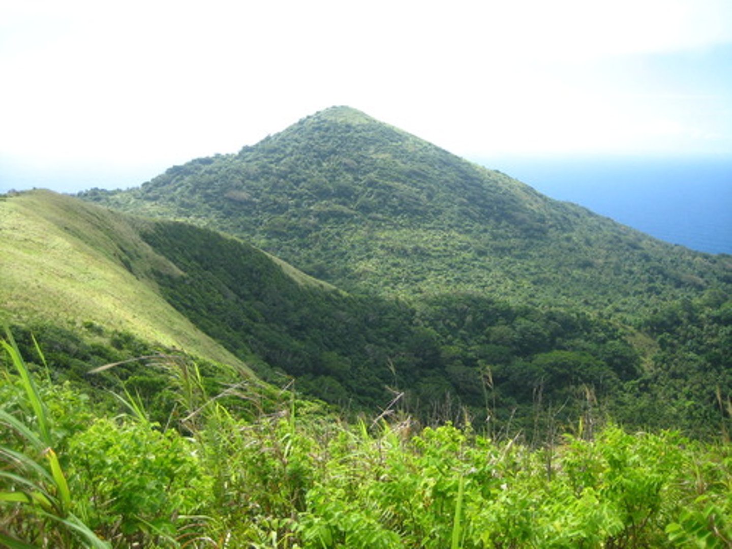 <p>describing a volcano that is no longer able to erupt</p>