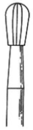 <p>bur type </p>