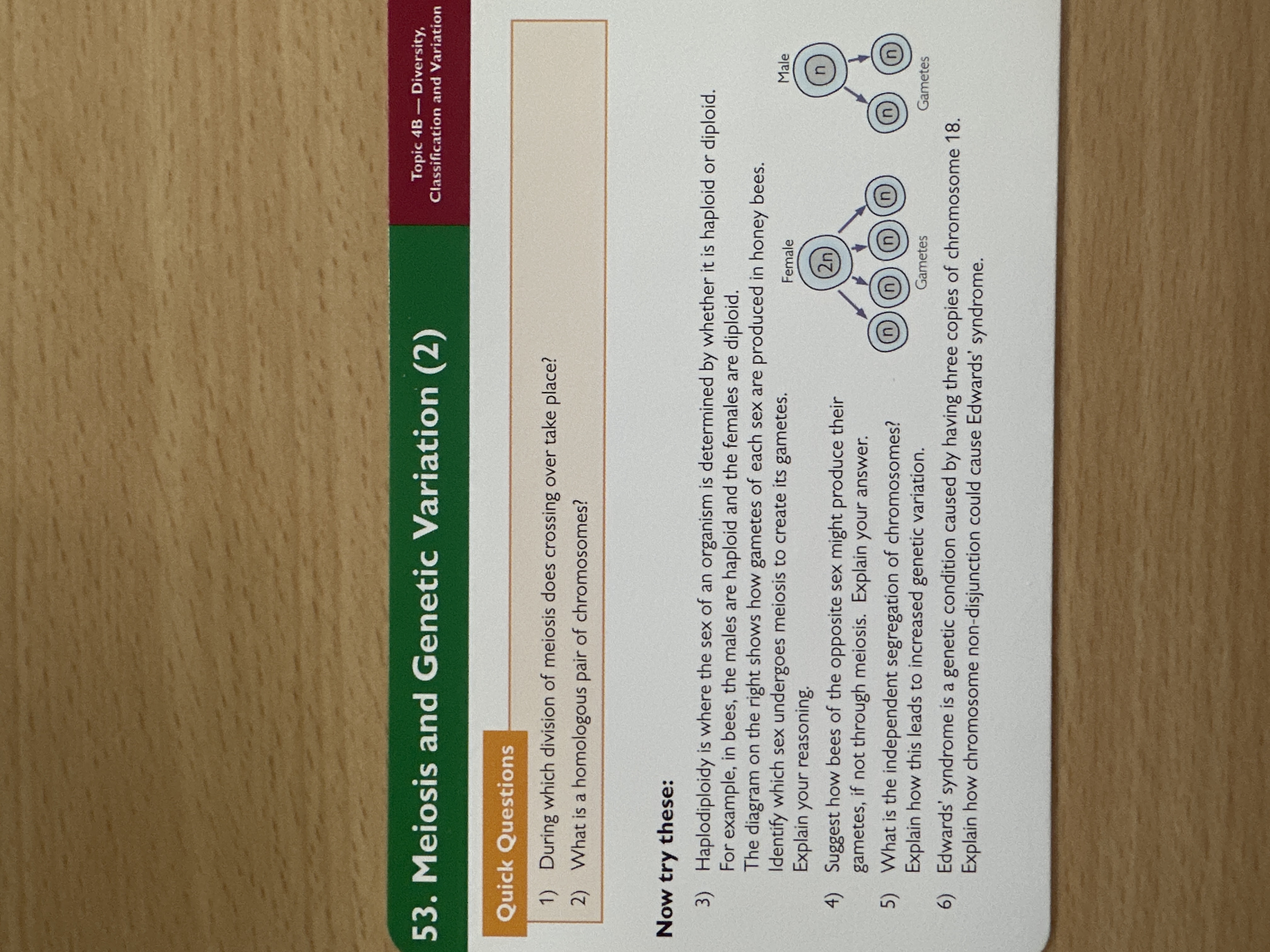 Mario’s is and genetic variation 