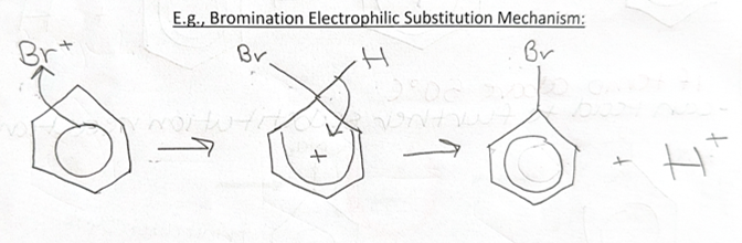 <p>-bromination or chlorination</p><p><strong><u>stage 1</u></strong> = creating bromonium or chloronium ion<strong> Br+</strong> or <strong>Cl+</strong></p><p>Br2 +<span style="color: blue"> FeBr3 </span>→ <strong>Br+</strong> + FeBr4-</p><p><strong><u>stage 2</u></strong> = draw</p><p><strong><u>stage 3</u></strong> = <span style="color: blue">catalyst</span> regenerated</p><p><strong>FeBr4- + H+ → HBr + </strong><span style="color: blue"><strong>FeBr3</strong></span></p>