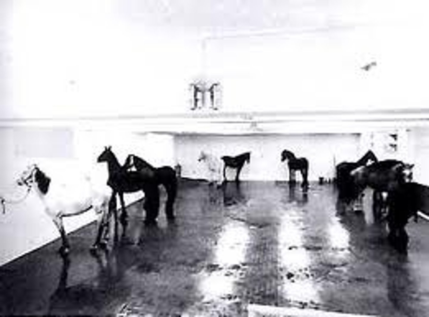 <p>instalacja</p>