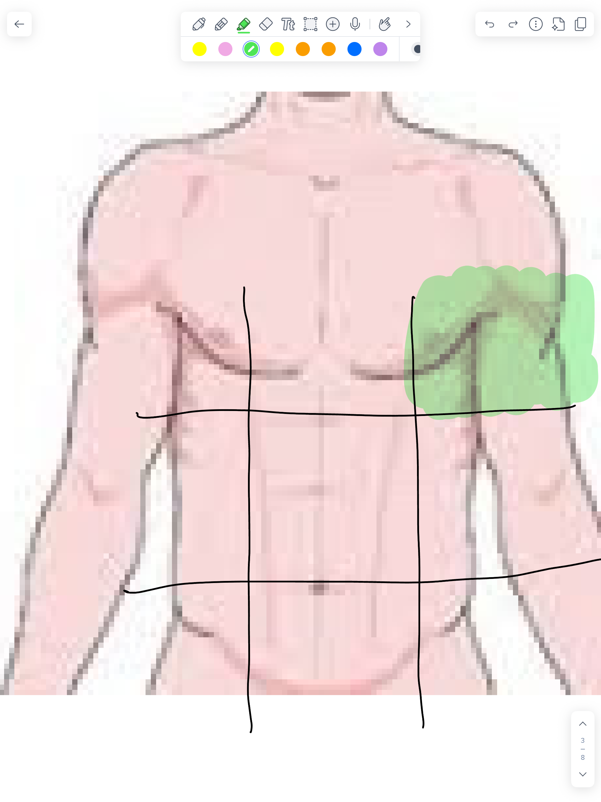 term image