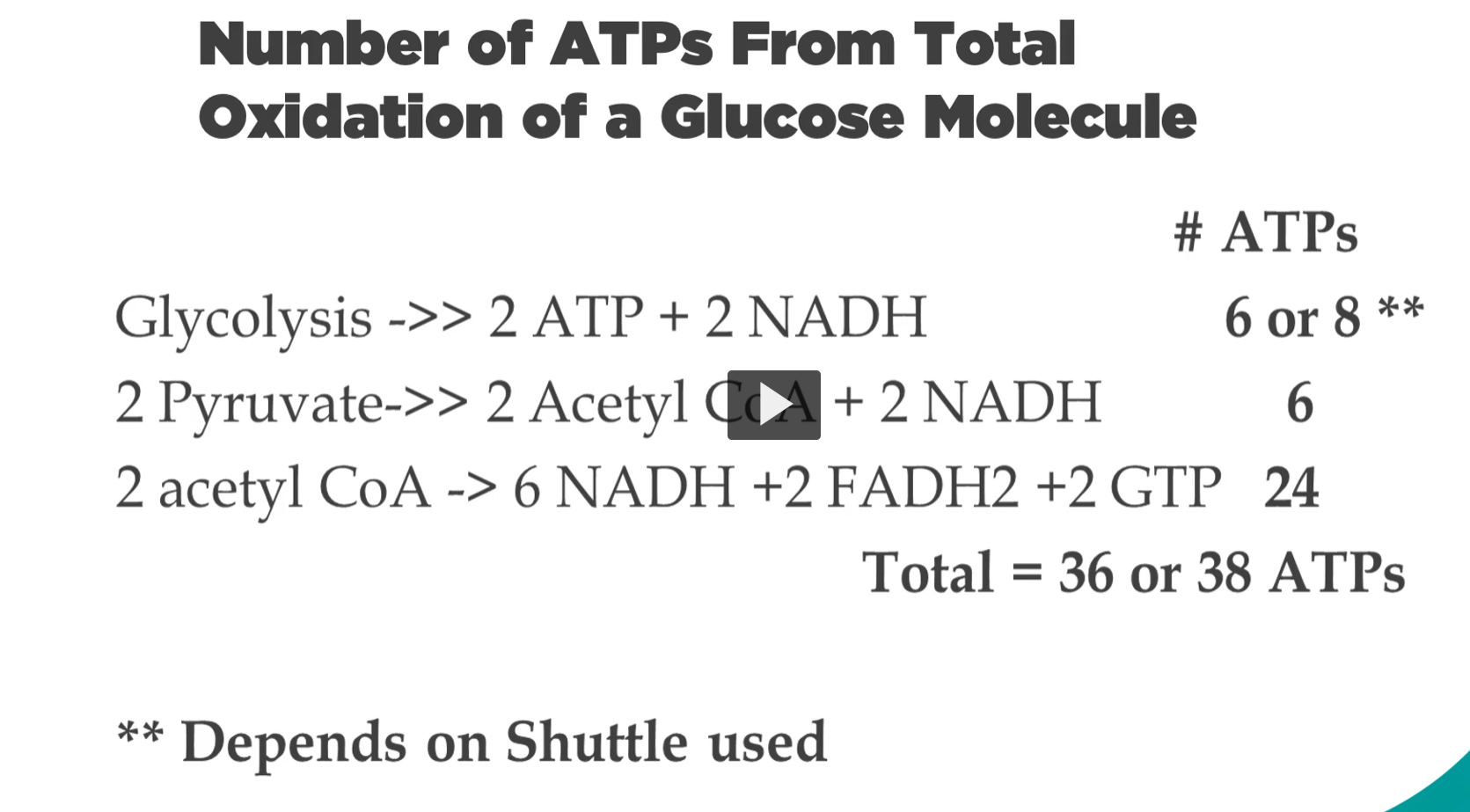 <p><strong><u>number of ATPs</u></strong><u> from</u><strong><u> total oxidation </u></strong><u>of a</u><strong><u> glucose molecule</u></strong></p><p><strong>the total yield for ATP production</strong> will <strong>depend</strong> on <strong>which shunt is used.</strong></p><p><strong>1. Starting from glycolysis</strong>, you can <strong>generate two ATPs directly</strong>. This is a fixed amount, but the <strong>two NADH</strong> that are<strong> produced will vary in the yield.</strong></p><p><strong>This yield will range 2-3 ATPs per NADH</strong> for a<strong> total of 4 to 6 ATPs</strong>. this is why you notice the<strong> two asterisk</strong>.</p><p>Following this breakdown, you have two pyruvates form two acetyl-CoAs and two NADH form six ATPs.</p><p>Now in the Kreb cycle, 2 acetyl-CoA → 6 NADH + 2 FADH2 + 2 GTP= 24 ATP</p><p>summed together, all of this will give a yield of 36 to 38 ATPs per glucose molecule.</p><p><em>depends on shuttle used</em></p><p>This slide is explaining <strong>why the total ATP yield from one glucose molecule can be either 36 or 38 ATP</strong>. The difference comes from <strong>which shuttle system transfers electrons from glycolysis into the mitochondria</strong>.</p><p>Let’s build the puzzle step-by-step.</p><div data-type="horizontalRule"><hr></div><p> 1. Glycolysis (cytosol) </p><p>From <strong>1 glucose → 2 pyruvate</strong></p><p>Products:</p><ul><li><p><strong>2 ATP</strong> (directly made)</p></li><li><p><strong>2 NADH</strong></p></li></ul><p>The <strong>ATP is fixed</strong>:<br><span data-name="check_mark" data-type="emoji">✔</span> always <strong>2 ATP</strong></p><p>But the <strong>NADH is produced in the cytosol</strong>, and NADH <strong>cannot cross the inner mitochondrial membrane</strong>.</p><p>So the electrons must be transported using a <strong>shuttle system</strong>.</p><div data-type="horizontalRule"><hr></div><p> 2. Why the shuttle matters </p><p>The electrons from cytosolic NADH can enter the mitochondria using:</p><p> Malate–Aspartate Shuttle </p><p>Electrons enter the ETC as <strong>NADH</strong></p><p>Yield:</p><p><strong>1 NADH → ~3 ATP (older calculation)</strong></p><p>So:</p><p>2 NADH × 3 ATP = <strong>6 ATP</strong></p><div data-type="horizontalRule"><hr></div><p> Glycerol-3-phosphate Shuttle </p><p>Electrons enter the ETC as <strong>FADH₂</strong></p><p>Yield:</p><p><strong>1 NADH equivalent → ~2 ATP</strong></p><p>So:</p><p>2 NADH × 2 ATP = <strong>4 ATP</strong></p><div data-type="horizontalRule"><hr></div><p> Therefore glycolysis yields </p><table style="min-width: 50px;"><colgroup><col style="min-width: 25px;"><col style="min-width: 25px;"></colgroup><tbody><tr><th colspan="1" rowspan="1"><p>Component</p></th><th colspan="1" rowspan="1"><p>ATP</p></th></tr><tr><td colspan="1" rowspan="1"><p>Direct ATP</p></td><td colspan="1" rowspan="1"><p>2</p></td></tr><tr><td colspan="1" rowspan="1"><p>NADH via malate shuttle</p></td><td colspan="1" rowspan="1"><p>6</p></td></tr><tr><td colspan="1" rowspan="1"><p>NADH via glycerol shuttle</p></td><td colspan="1" rowspan="1"><p>4</p></td></tr></tbody></table><p>Total glycolysis ATP:</p><p><strong>6–8 ATP</strong></p><p>That is why the slide shows:</p><p><strong>6 or 8 ATP</strong></p><div data-type="horizontalRule"><hr></div><p> 3. Pyruvate → Acetyl-CoA (Pyruvate Dehydrogenase) </p><p>Each pyruvate produces:</p><ul><li><p><strong>1 NADH</strong></p></li></ul><p>Since glucose produces <strong>2 pyruvate</strong>:</p><p>2 NADH → <strong>6 ATP</strong></p><div data-type="horizontalRule"><hr></div><p> 4. Krebs Cycle (TCA cycle) </p><p>From <strong>2 acetyl-CoA</strong></p><p>Products:</p><ul><li><p><strong>6 NADH</strong></p></li><li><p><strong>2 FADH₂</strong></p></li><li><p><strong>2 GTP (ATP equivalent)</strong></p></li></ul><p>ATP equivalents:</p><table style="min-width: 50px;"><colgroup><col style="min-width: 25px;"><col style="min-width: 25px;"></colgroup><tbody><tr><th colspan="1" rowspan="1"><p>Molecule</p></th><th colspan="1" rowspan="1"><p>ATP produced</p></th></tr><tr><td colspan="1" rowspan="1"><p>6 NADH</p></td><td colspan="1" rowspan="1"><p>18 ATP</p></td></tr><tr><td colspan="1" rowspan="1"><p>2 FADH₂</p></td><td colspan="1" rowspan="1"><p>4 ATP</p></td></tr><tr><td colspan="1" rowspan="1"><p>2 GTP</p></td><td colspan="1" rowspan="1"><p>2 ATP</p></td></tr></tbody></table><p>Total:</p><p><strong>24 ATP</strong></p><div data-type="horizontalRule"><hr></div><p> 5. Total ATP yield If Malate–Aspartate shuttle is used </p><p>Glycolysis → <strong>8 ATP</strong><br>Pyruvate → <strong>6 ATP</strong><br>TCA cycle → <strong>24 ATP</strong></p><p>Total:</p><p><strong>38 ATP</strong></p><div data-type="horizontalRule"><hr></div><p> If Glycerol-3-phosphate shuttle is used </p><p>Glycolysis → <strong>6 ATP</strong><br>Pyruvate → <strong>6 ATP</strong><br>TCA cycle → <strong>24 ATP</strong></p><p>Total:</p><p><strong>36 ATP</strong></p><div data-type="horizontalRule"><hr></div><p> Final idea </p><p>The <strong>difference (36 vs 38 ATP)</strong> happens because:</p><pre><code>Cytosolic NADH from glycolysis
↓
Must enter mitochondria
↓
Uses a shuttle
↓
Different shuttle = different ATP yield</code></pre><table style="min-width: 50px;"><colgroup><col style="min-width: 25px;"><col style="min-width: 25px;"></colgroup><tbody><tr><th colspan="1" rowspan="1"><p>Shuttle</p></th><th colspan="1" rowspan="1"><p>ATP produced from glycolysis NADH</p></th></tr><tr><td colspan="1" rowspan="1"><p>Malate–Aspartate</p></td><td colspan="1" rowspan="1"><p>more ATP</p></td></tr><tr><td colspan="1" rowspan="1"><p>Glycerol-phosphate</p></td><td colspan="1" rowspan="1"><p>less ATP</p></td></tr></tbody></table><div data-type="horizontalRule"><hr></div><p><span data-name="check_mark_button" data-type="emoji">✅</span> <strong>Simple summary</strong></p><p>The total ATP from glucose is <strong>36–38 ATP</strong> because the <strong>two NADH produced in glycolysis must enter the mitochondria through a shuttle</strong>, and the <strong>type of shuttle determines how much ATP those electrons produce</strong>.</p><div data-type="horizontalRule"><hr></div><p>If you want, I can also show you <strong>the modern calculation (30–32 ATP)</strong> that most medical schools use today, which fixes a lot of the confusing numbers in this slide.</p>