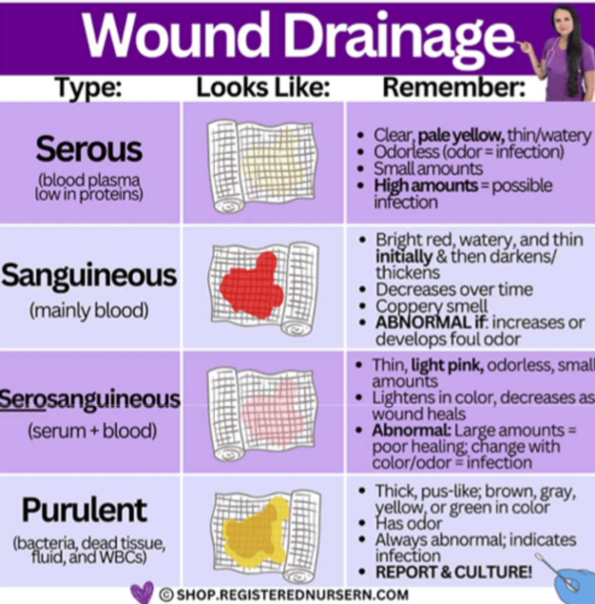 <p>normally expected during inflammatory response in the absence of infection</p><p>*can indicate an infection*</p><p>1. AMOUNT</p><p>- minimal</p><p>- moderate</p><p>- copious</p><p>2. TYPE</p><p>- serous (clear, watery)</p><p>- serosanguinous (thin, red)</p><p>- purulent</p><p>3. ODOR</p><p>- absent/present</p><p>- mild/strong</p>