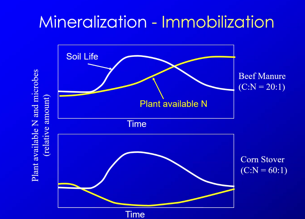 <p>What is this saying?</p>