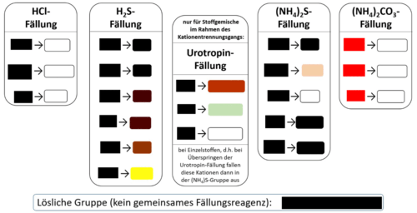 <p>(NH₄)₂CO₃-Fällung, weißer NS</p>
