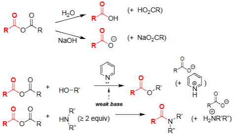 <ul><li><p>Alcohol attacks one carbonyl of the anhydride.</p></li><li><p>Forms an <strong>ester + carboxylate</strong>.</p></li><li><p>Pyridine acts as weak base to neutralize acid formed.</p></li><li><p>Selective way to make esters from anhydrides.</p></li></ul><p></p>