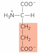 <p>What is this?</p>