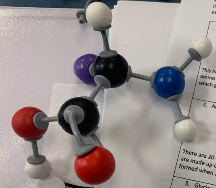 molecule kit