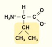 <p>V</p><p>nonpolar</p><p></p>