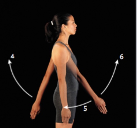 What movement is 6