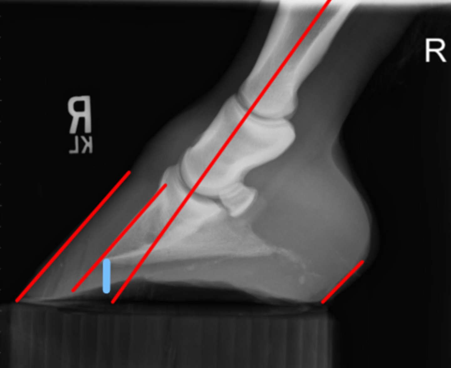 <p>What measurement is this?</p>