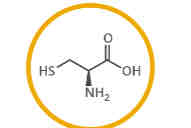 <p>What amino acid is this?</p>