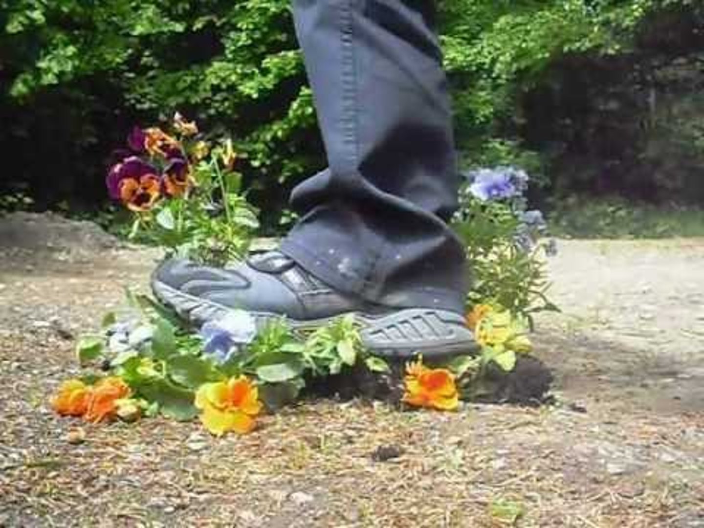 <p>Step on and crush.</p>