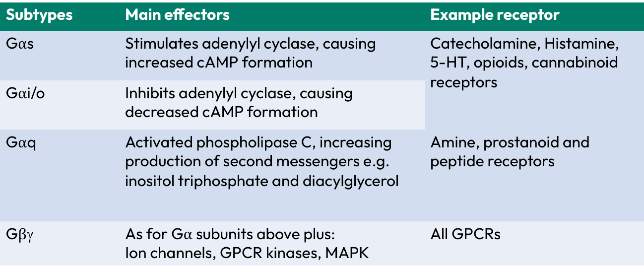<ul><li><p>Gas</p></li><li><p>Gai/o</p></li><li><p>Gaq</p></li><li><p>Gby</p></li></ul><p></p>