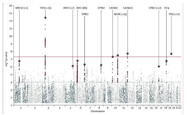<p><span style="font-family: &quot;Times New Roman&quot;, serif">Use Figures Showing –log of pValues To Determine Significance of SNPs</span></p>