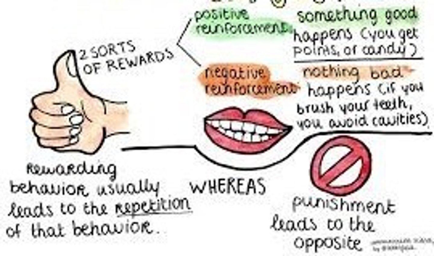 <p>Thorndike's rule that behaviors which have positive outcomes tend to be repeated</p>