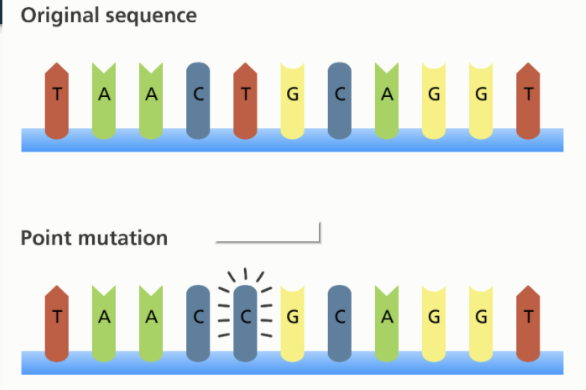 <p></p><p>one nucleotide is substituted for another</p>