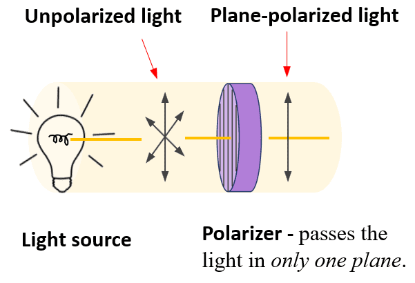 <p>light vibrating only in parallel planes</p><ul><li><p>if passes through a polarizer, forced to vibrate only in 1 plane </p></li></ul><p></p>