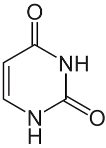 <p>what is this?</p>