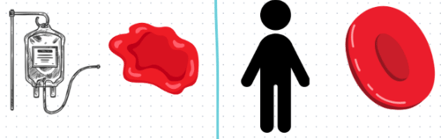 <p>- in bag: mildly hypertonic (eg. D51/2NS)</p><p>- in body: mostly isotonic</p><p>=&gt; dextrose is quickly utilized, &amp; remainder fluid becomes isotonic or even hypotonic</p>