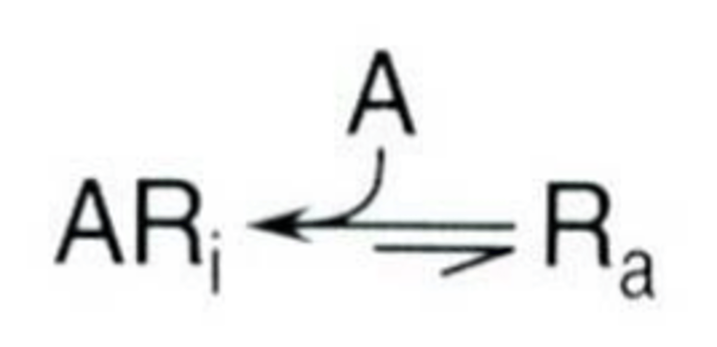 <p>(Ri) than (Ra)</p><p>- equilibrium</p>