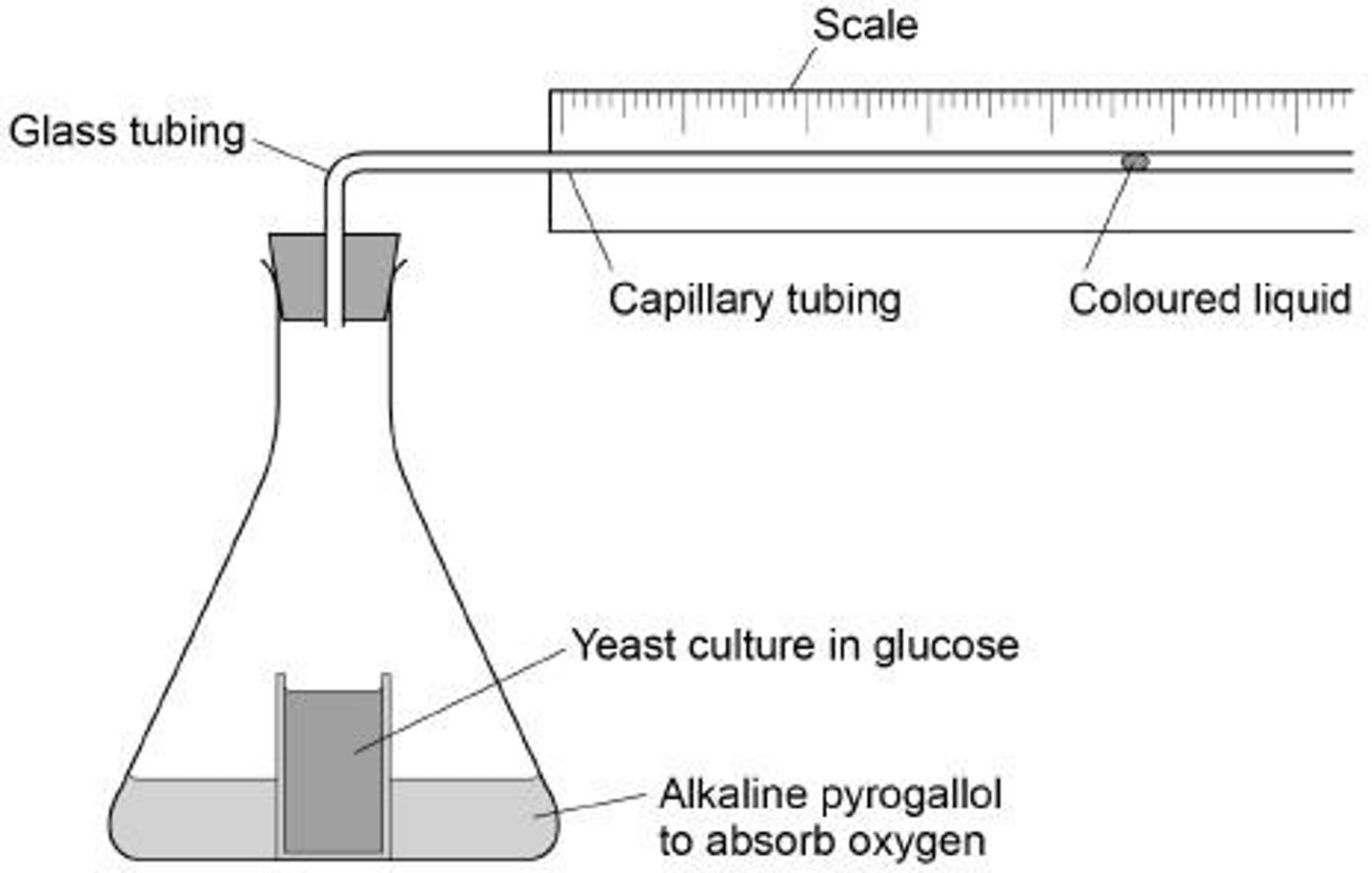 <p>Measures O2 uptake to assess the rate of aerobic respiration.</p>