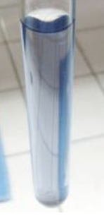 <p>What are the reagents of this test?</p>