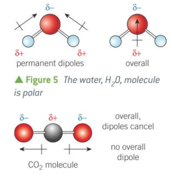 <p>when the molecule doesn’t have a symmetrical shape </p>