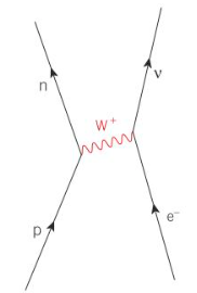 <p>proton in proton rich nucleus turning to neutron when interacting with inner-shell electron with weak interaction </p><p>proton becomes neutron </p><p>W+ boson makes e- into ve </p>