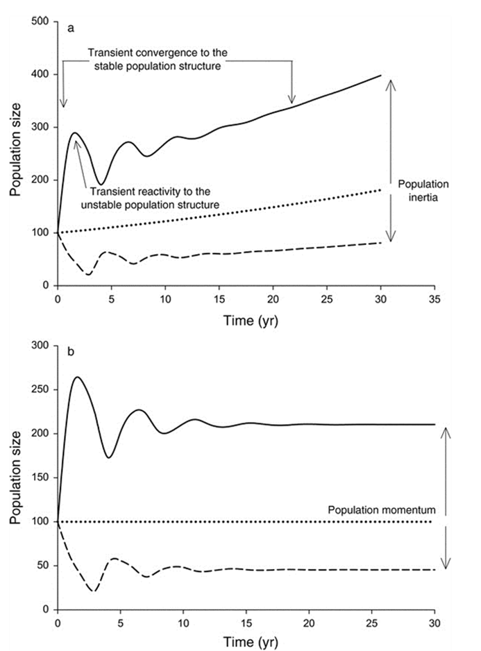No fluctuation in dashed line since we're already at asymptotic lambda.