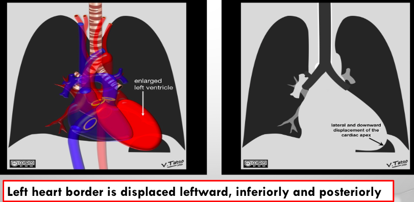 <p>what is this?</p>