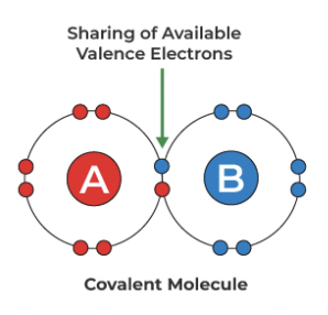 <p>Covalent bond</p>