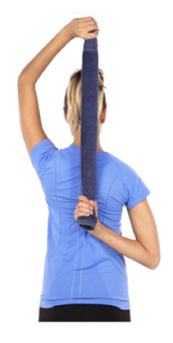 <p>Une femme utilise une serviette pour tirer sur son bras droit pour l'amener le plus loin possible dans son dos. Quelle(s) déficience(s) en lien avec l’épaule droite pourrait(ent) expliquer que cette femme ne soit pas en mesure de faire ce mouvement complet?</p><p>A. Un raccourcissement du muscle supra-épineux</p><p>B. Une faiblesse du muscle grand rond</p><p>C. Un raccourcissement de la capsule postéro-supérieure</p><p>D. Une diminution de conduction nerveuse du nerf thoraco-dorsal</p>